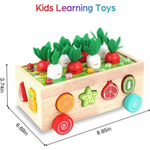 Toddlers Montessori Wooden